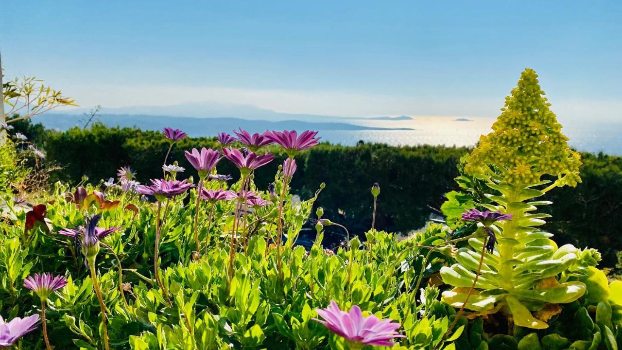 Vue Mer Panoramique Et Piscine 방돌 외부 사진