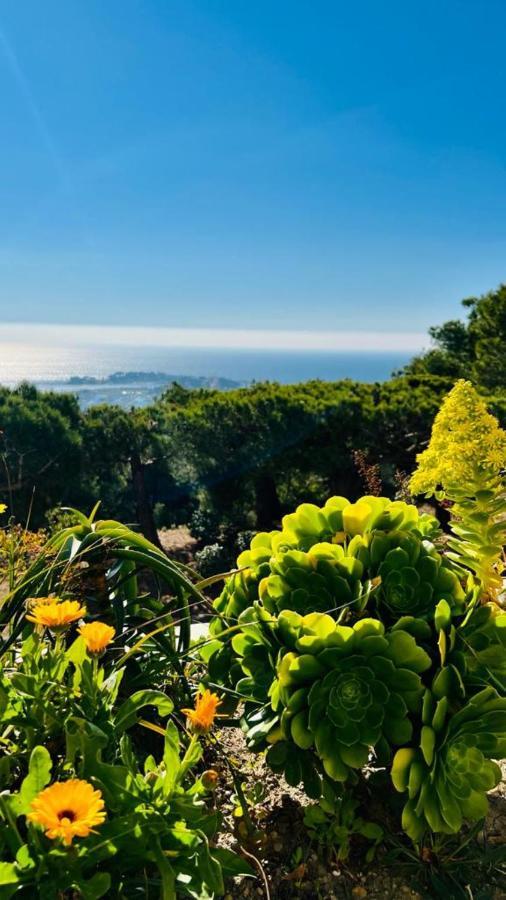 Vue Mer Panoramique Et Piscine 방돌 외부 사진